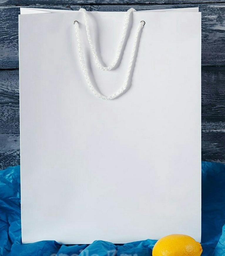 Пакет бумажный белый 24*35*10 см (под А4)